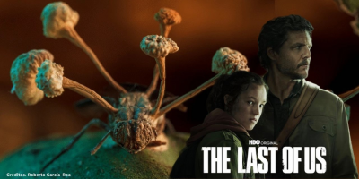 'The Last of Us': fungo zumbi de série existe e é encontrado no Brasil