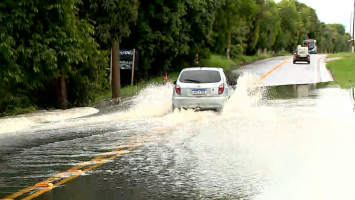 Vídeo mostra bagres nadando em rodovia do ES durante a chuva 