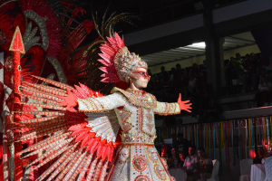 Carnaval em Nova Friburgo tem inscrições abertas para concurso de fantasia nas categorias luxo, originalidade e gay
